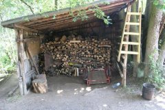 phoca_thumb_l_6_Drevnik